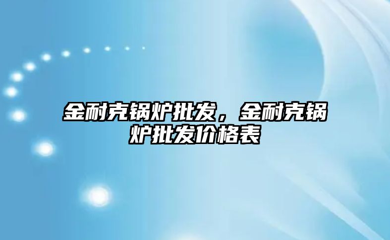 金耐克鍋爐批發(fā)，金耐克鍋爐批發(fā)價(jià)格表