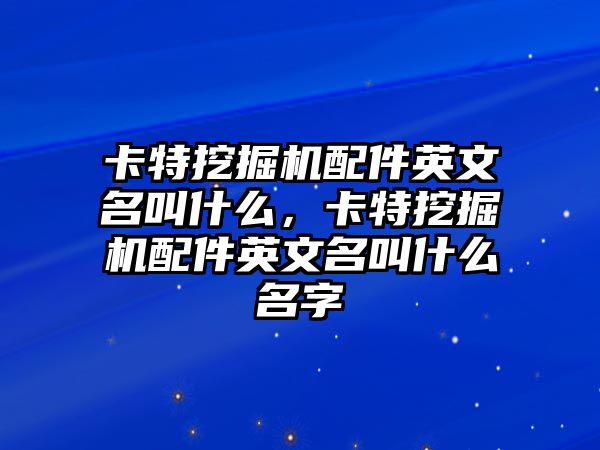 卡特挖掘機(jī)配件英文名叫什么，卡特挖掘機(jī)配件英文名叫什么名字