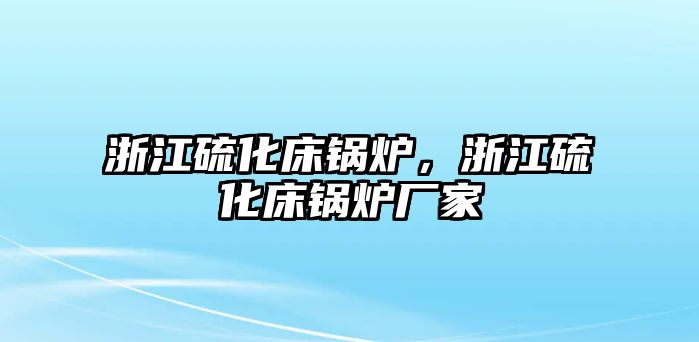 浙江硫化床鍋爐，浙江硫化床鍋爐廠家