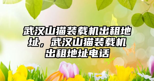 武漢山貓裝載機出租地址，武漢山貓裝載機出租地址電話