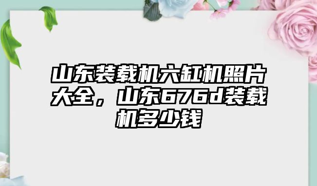 山東裝載機六缸機照片大全，山東676d裝載機多少錢