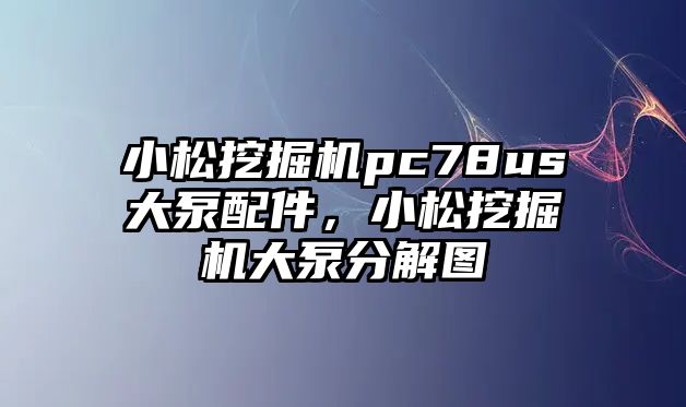 小松挖掘機pc78us大泵配件，小松挖掘機大泵分解圖