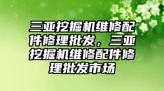 三亞挖掘機(jī)維修配件修理批發(fā)，三亞挖掘機(jī)維修配件修理批發(fā)市場