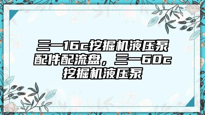 三一16c挖掘機(jī)液壓泵配件配流盤，三一60c挖掘機(jī)液壓泵