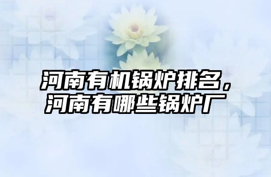 河南有機鍋爐排名，河南有哪些鍋爐廠