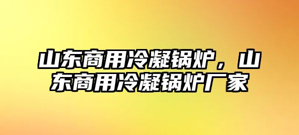 山東商用冷凝鍋爐，山東商用冷凝鍋爐廠家