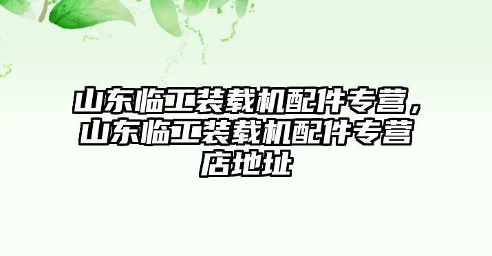 山東臨工裝載機配件專營，山東臨工裝載機配件專營店地址