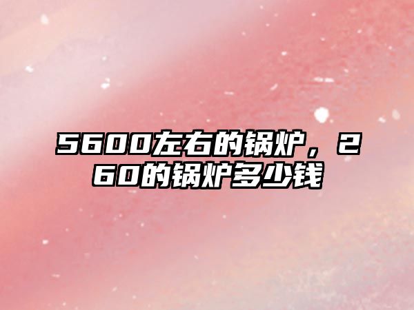 5600左右的鍋爐，260的鍋爐多少錢