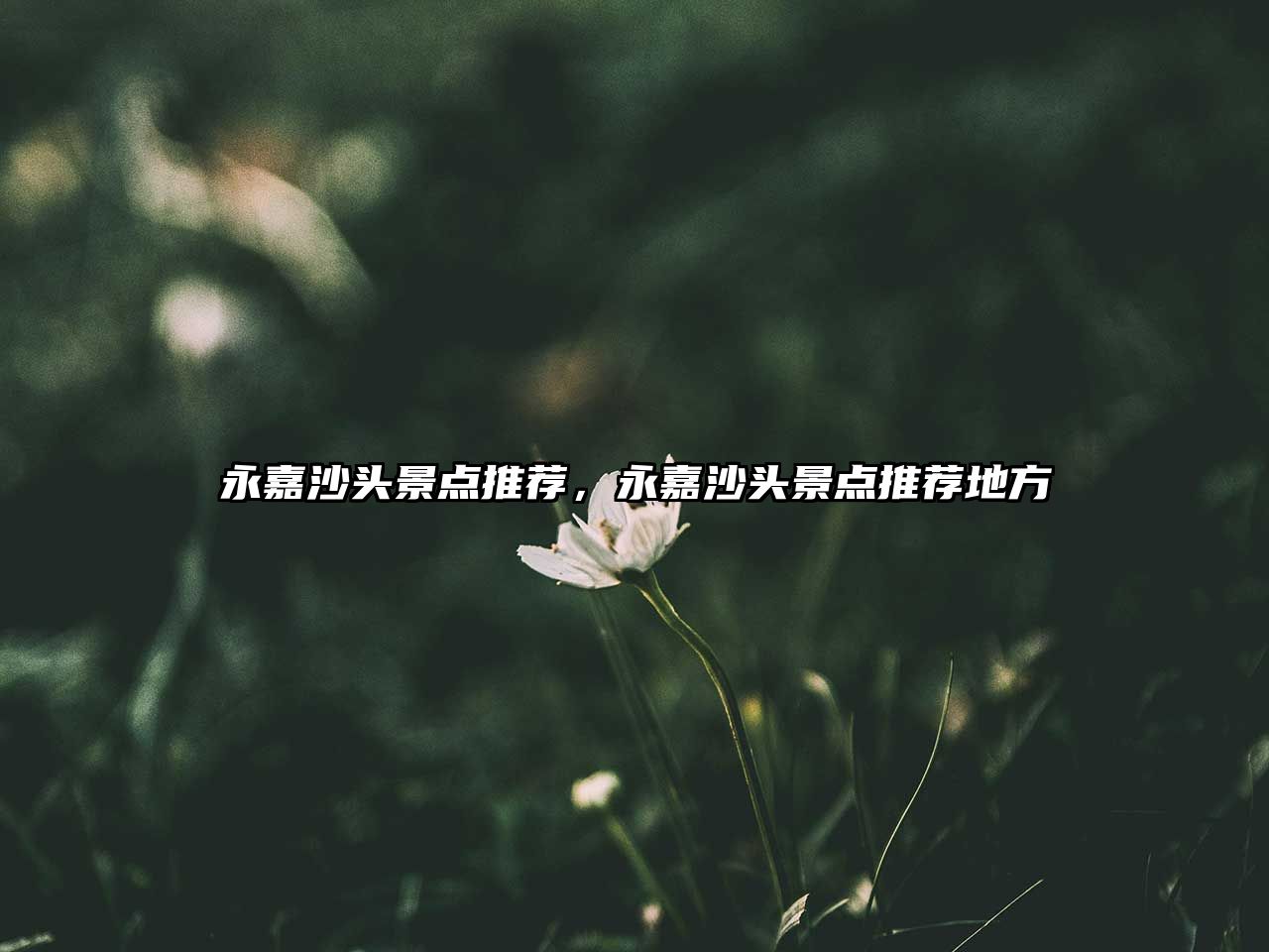 永嘉沙頭景點(diǎn)推薦，永嘉沙頭景點(diǎn)推薦地方