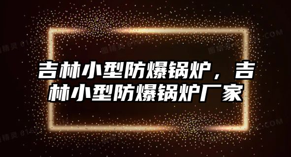 吉林小型防爆鍋爐，吉林小型防爆鍋爐廠家