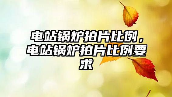 電站鍋爐拍片比例，電站鍋爐拍片比例要求