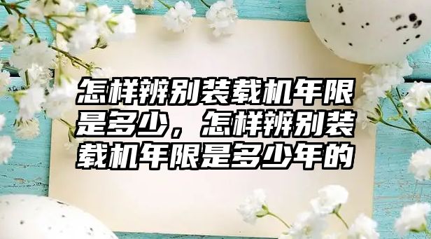 怎樣辨別裝載機(jī)年限是多少，怎樣辨別裝載機(jī)年限是多少年的