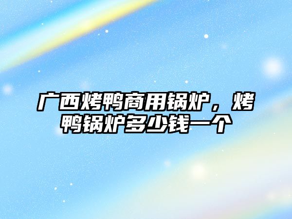 廣西烤鴨商用鍋爐，烤鴨鍋爐多少錢一個(gè)