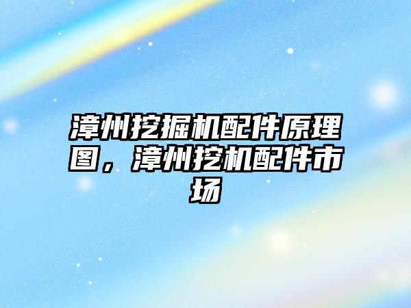 漳州挖掘機配件原理圖，漳州挖機配件市場