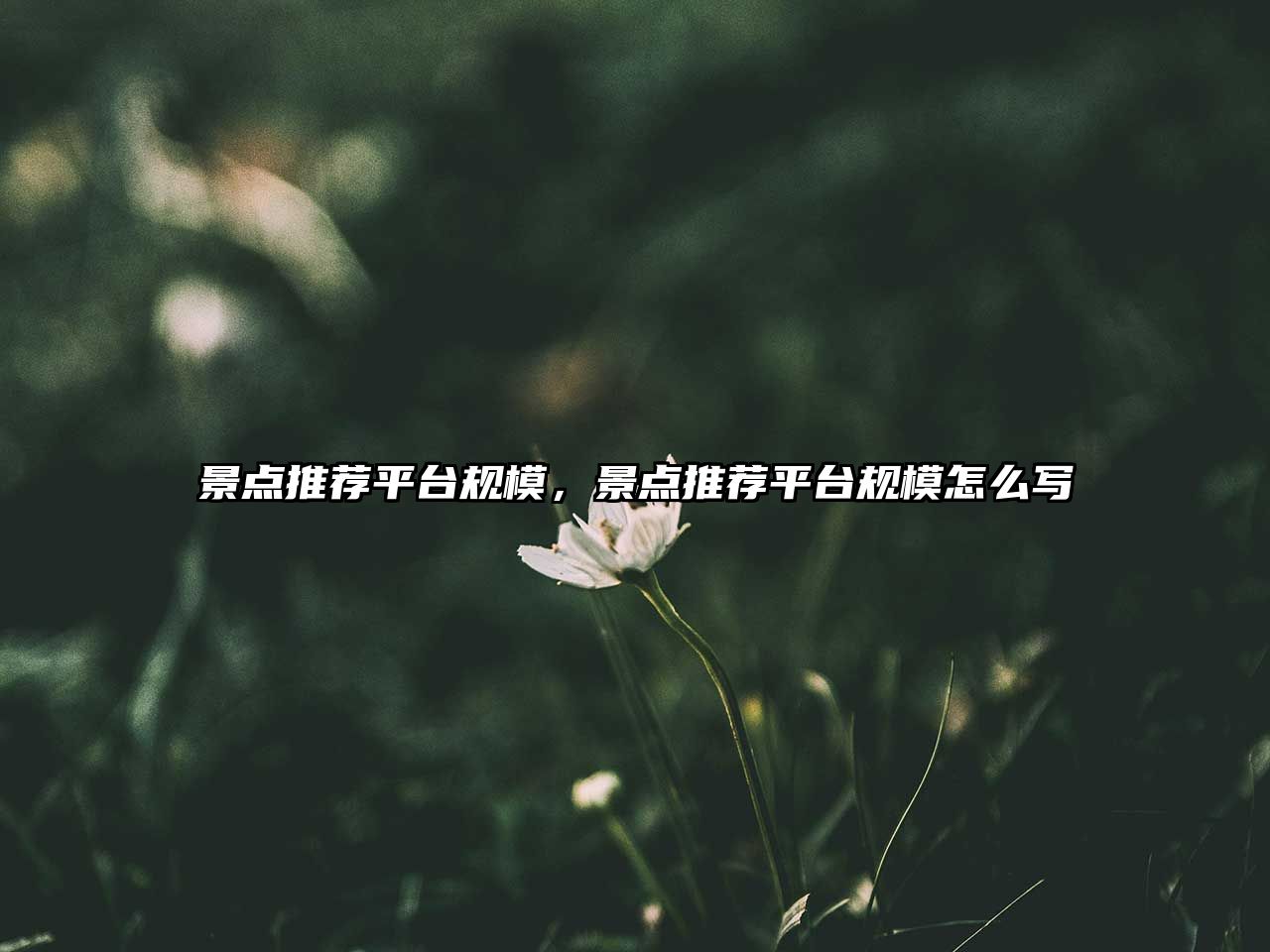 景點推薦平臺規(guī)模，景點推薦平臺規(guī)模怎么寫