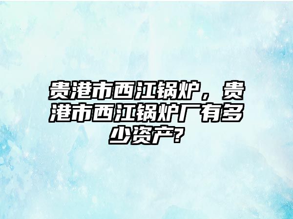 貴港市西江鍋爐，貴港市西江鍋爐廠有多少資產(chǎn)?