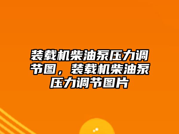 裝載機(jī)柴油泵壓力調(diào)節(jié)圖，裝載機(jī)柴油泵壓力調(diào)節(jié)圖片